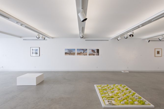 Unarte Archidaily